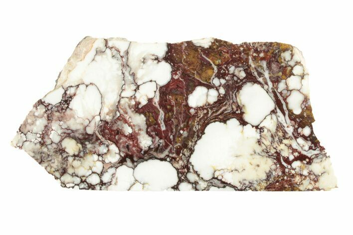 Polished Wild Horse Magnesite Slice - Arizona #264042